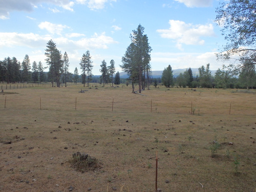GDMBR: Cow Sign (pasture land).